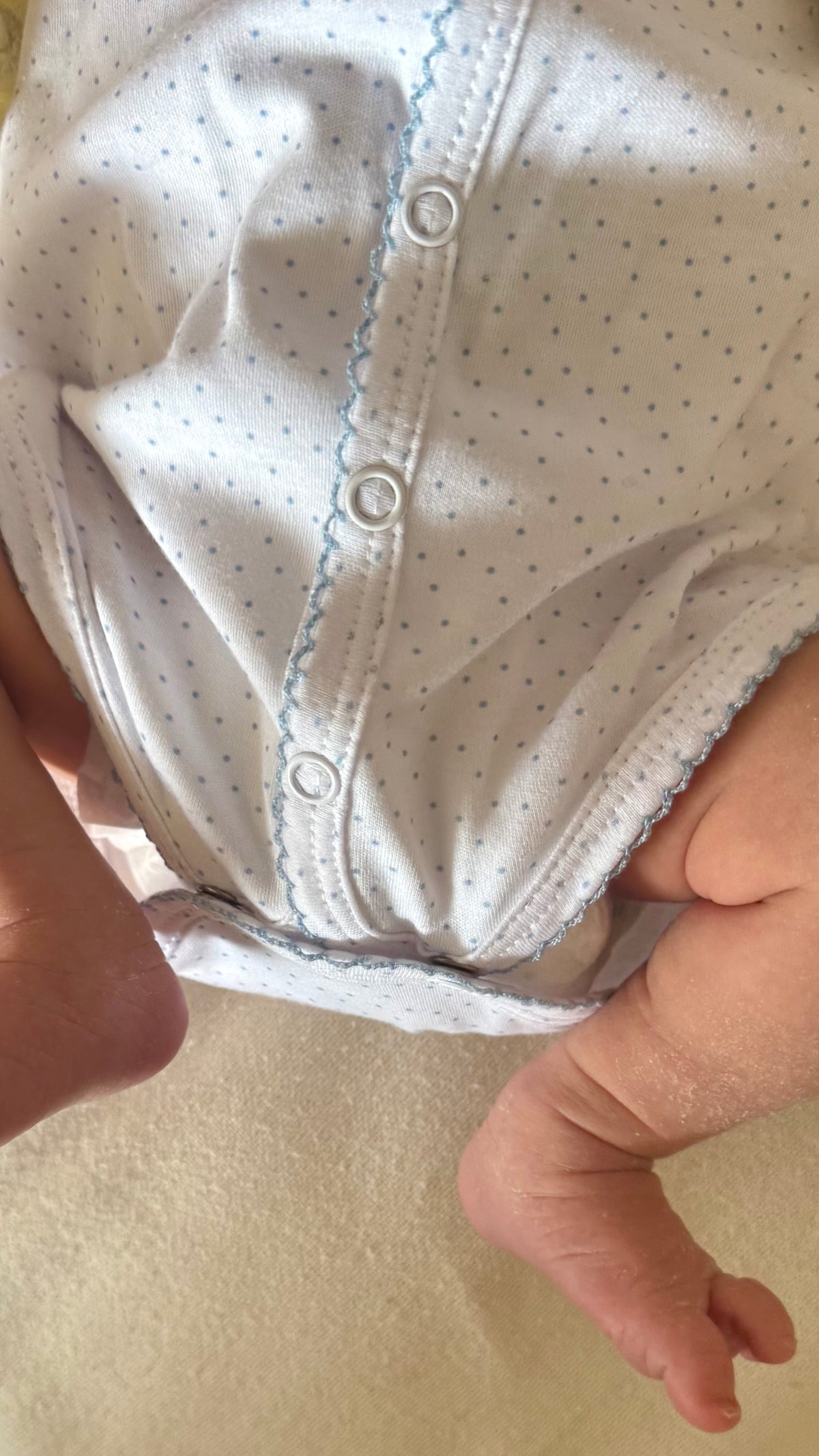 Body 100% algodón pima botones delanteros puntitos celeste