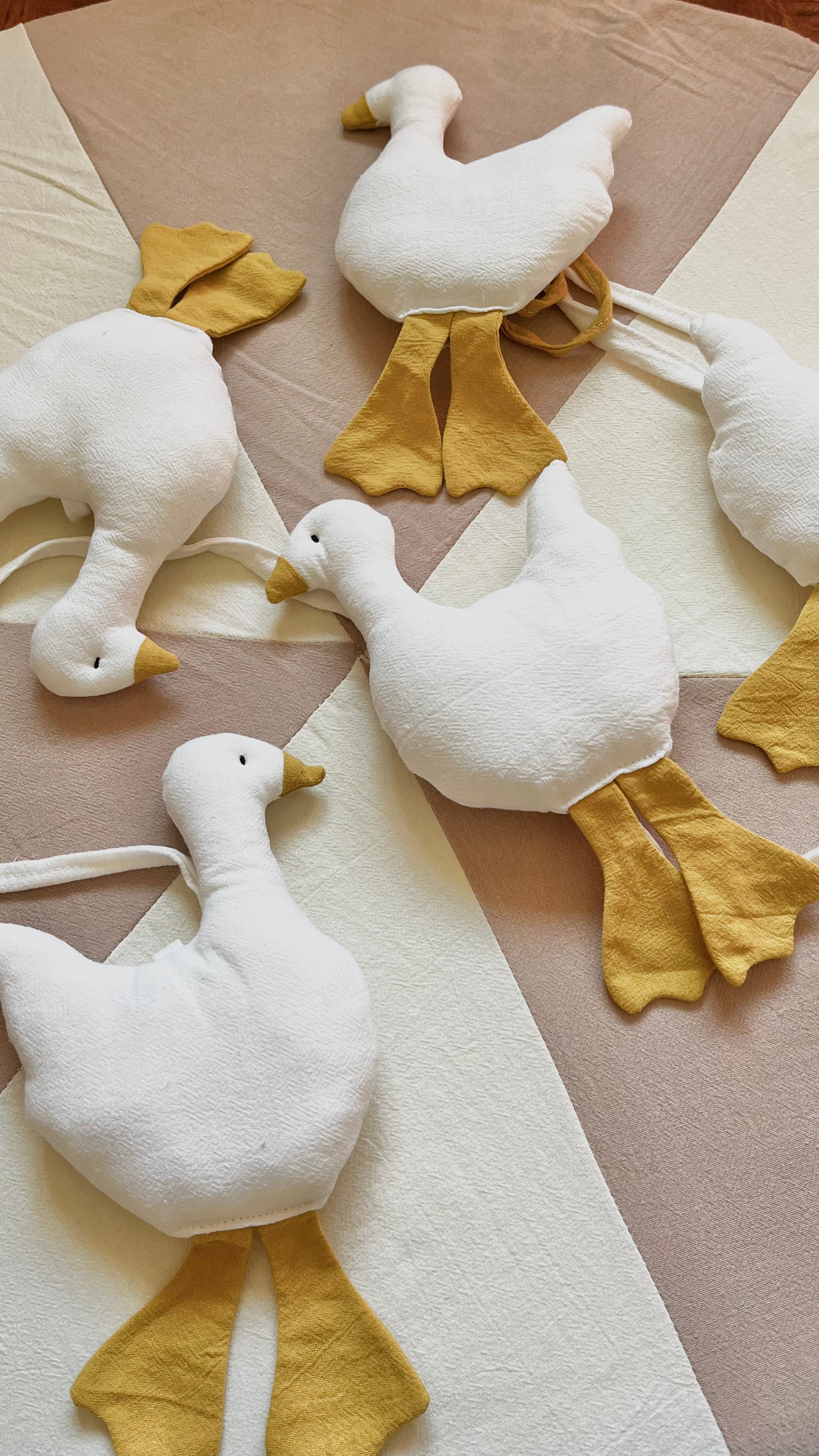 Guía patitos