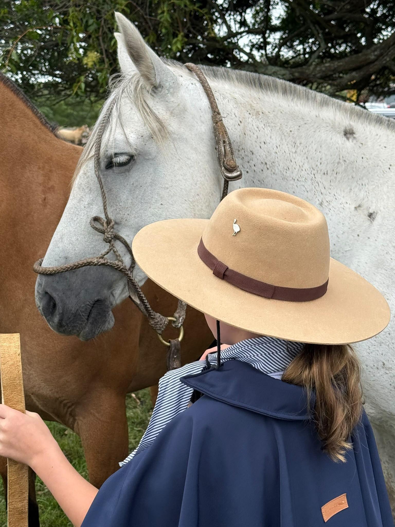 Sombrero Beige copa alta